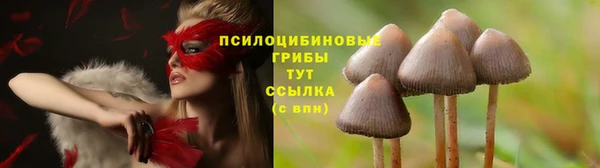 синтетический гашиш Лихославль